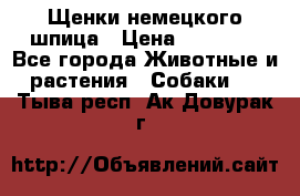 Щенки немецкого шпица › Цена ­ 20 000 - Все города Животные и растения » Собаки   . Тыва респ.,Ак-Довурак г.